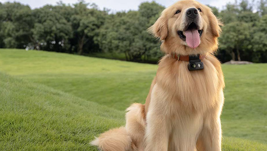 Kamera DJI Osmo Nano 128GB